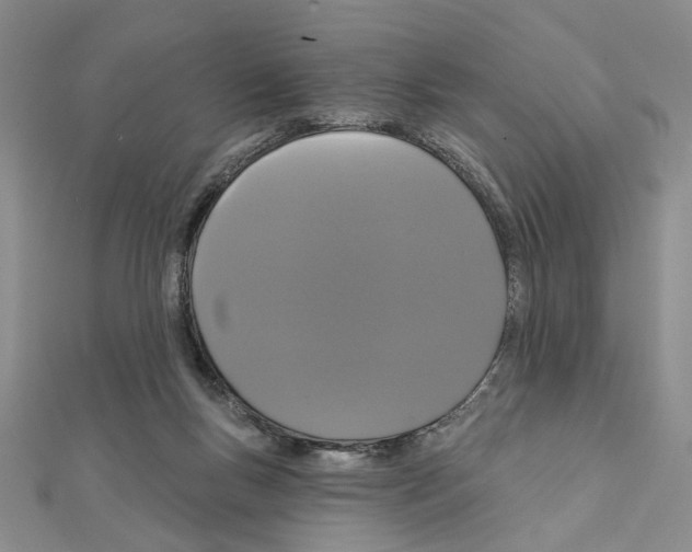 X0000111440167200908241151