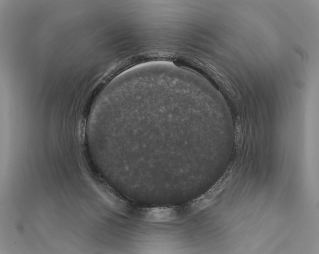 X0000111440168200908241151