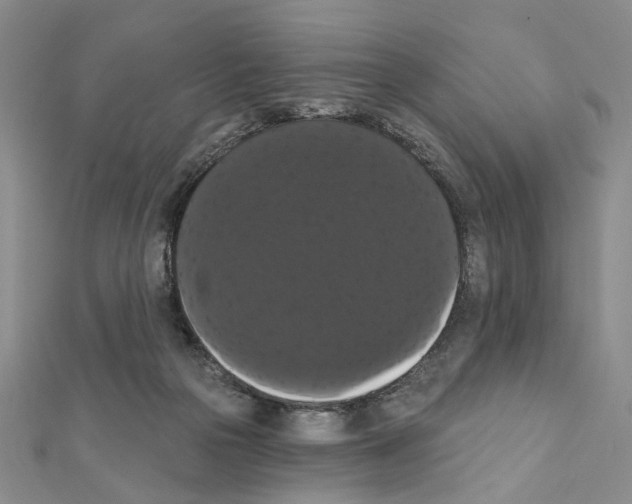 X0000111440169200908241151