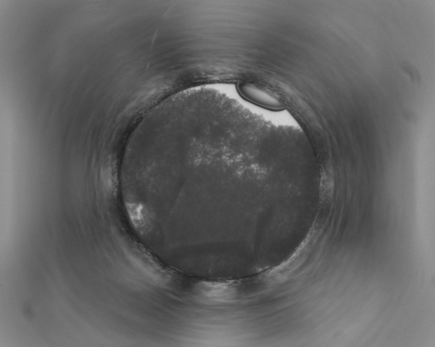 X0000111440170200908241151