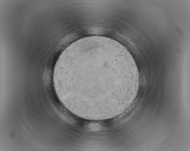 X0000111440171200908241151