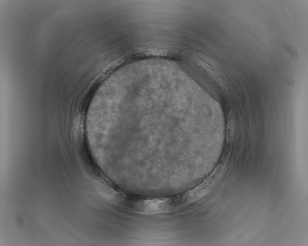 X0000111440172200908241151