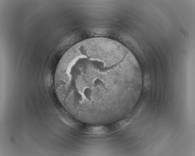 X0000111440173200908241151