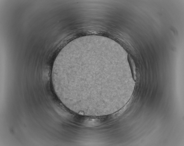 X0000111440174200908241151