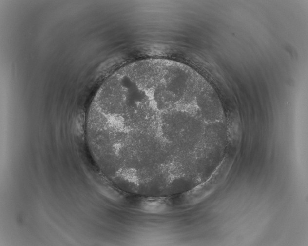 X0000111440175200908241151