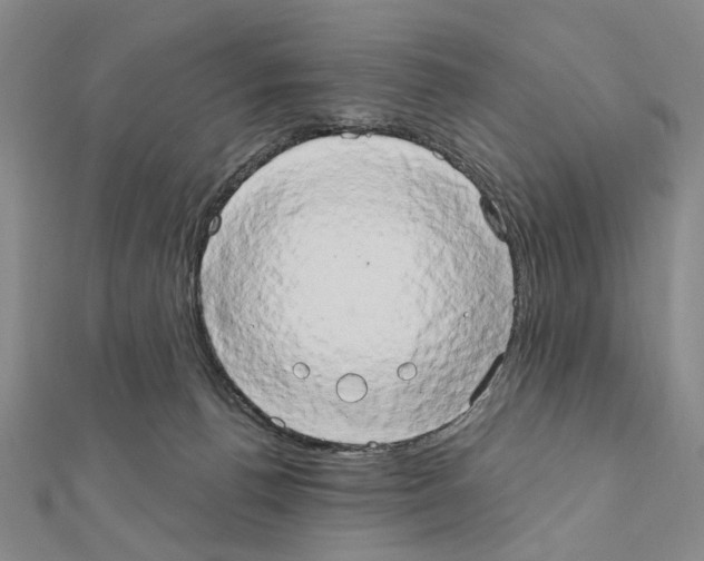 X0000111440176200908241151