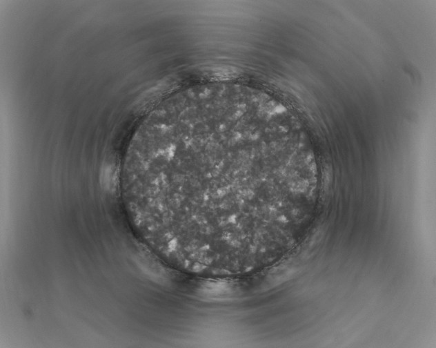 X0000111440177200908241151