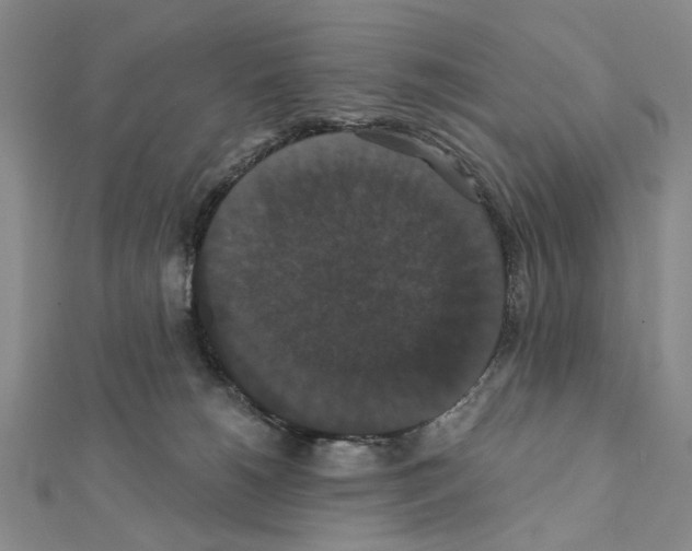 X0000111440180200908241152