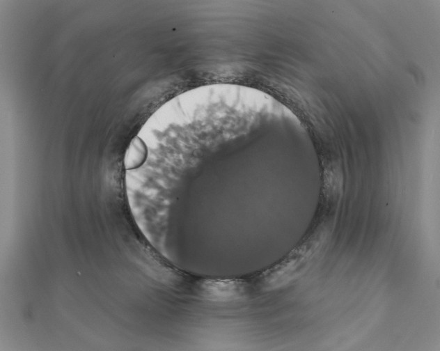 X0000111440181200908241152