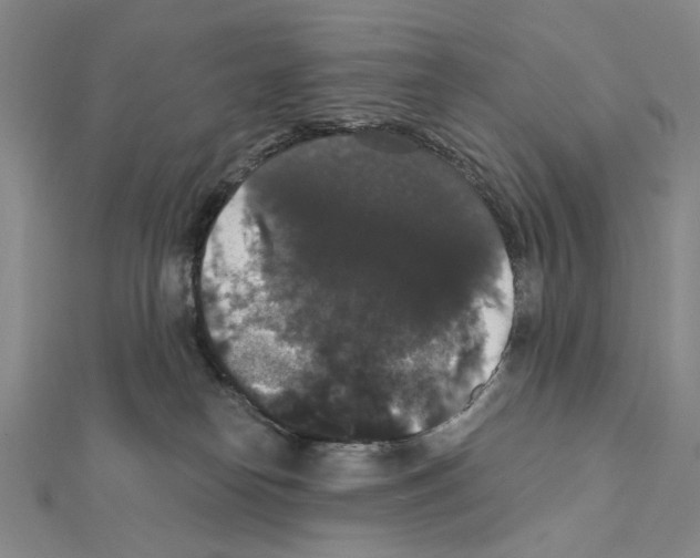 X0000111440182200908241152