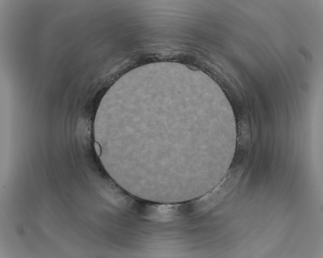 X0000111440184200908241152