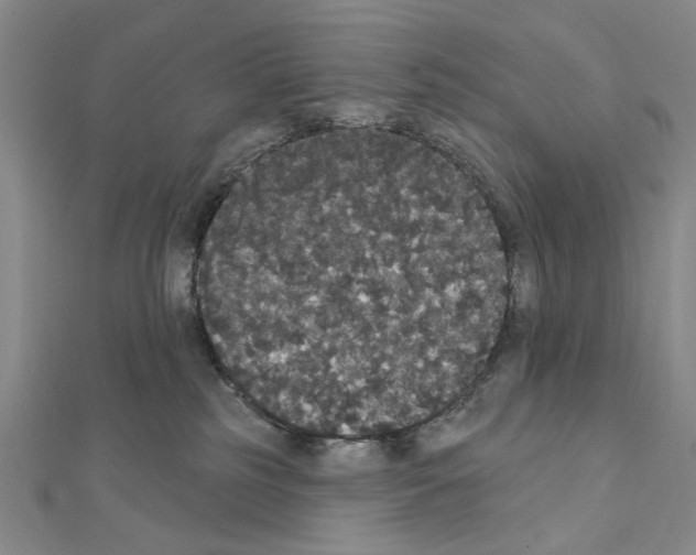 X0000111440185200908241152