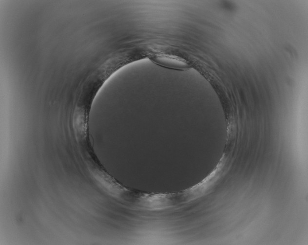 X0000111440186200908241152