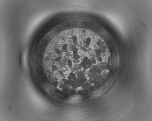 X0000111440189200908241152
