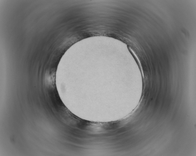 X0000111440190200908241152