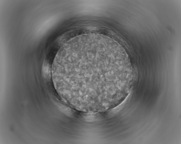 X0000111440191200908241152