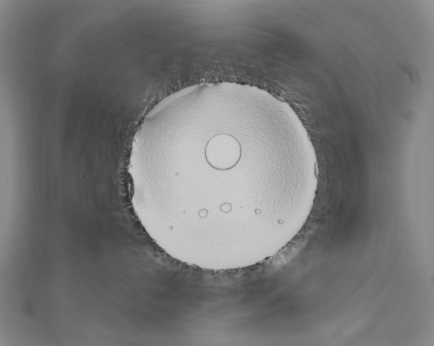 X0000111440192200908241152