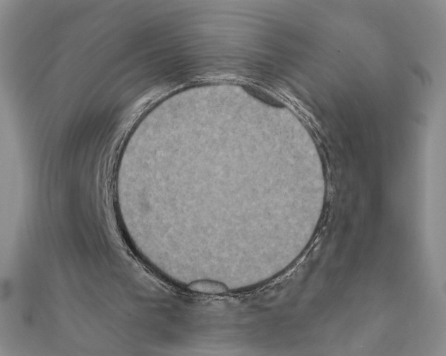 X0000111440193200908241151