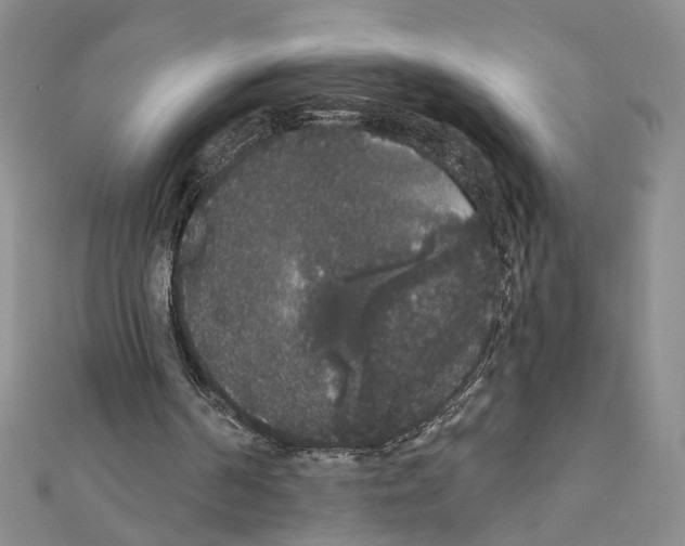 X0000111440194200908241151