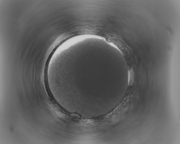X0000111440195200908241151