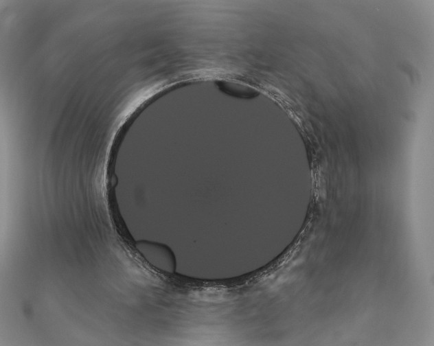 X0000111440196200908241151