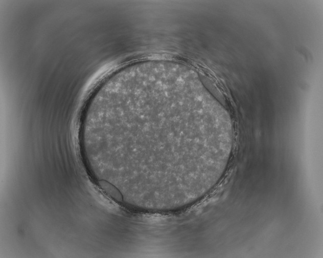 X0000111440197200908241151
