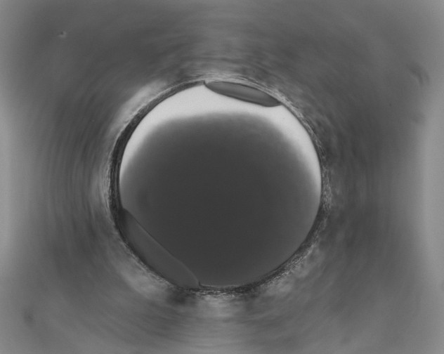 X0000111440199200908241151