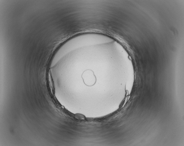X0000111440201200908241151