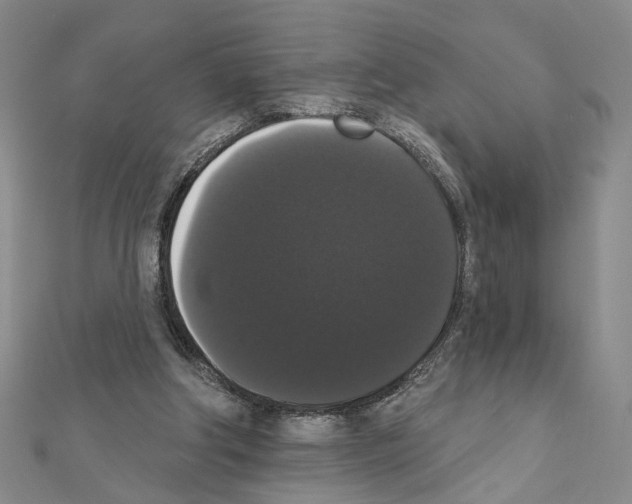 X0000111440202200908241151