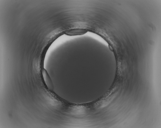 X0000111440203200908241151