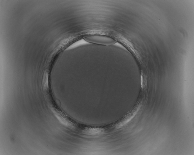X0000111440205200908241151