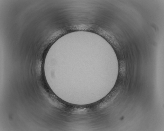 X0000111440206200908241151
