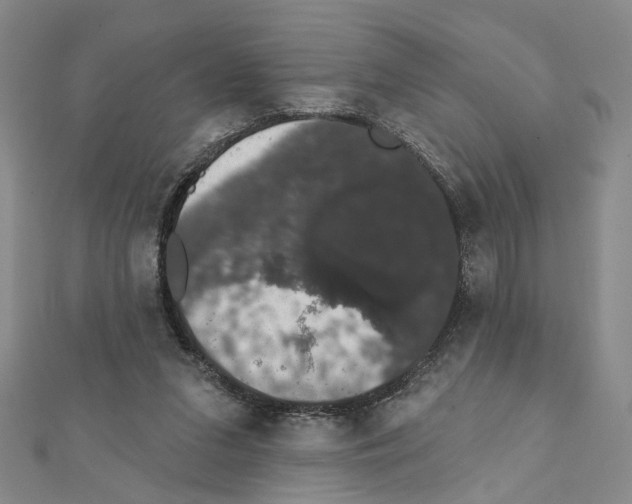 X0000111440207200908241151