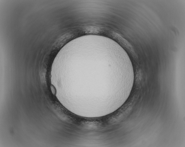X0000111440209200908241151