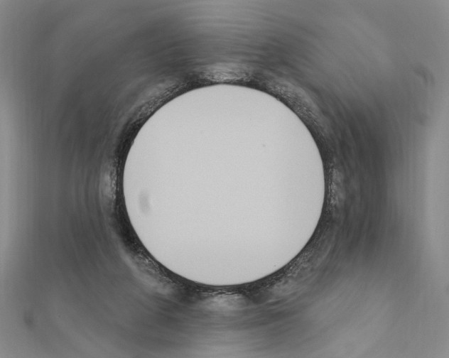 X0000111440210200908241151