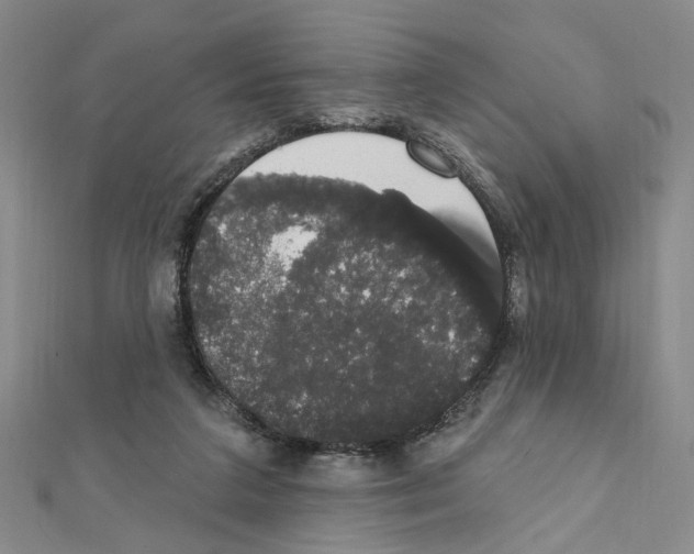 X0000111440211200908241151