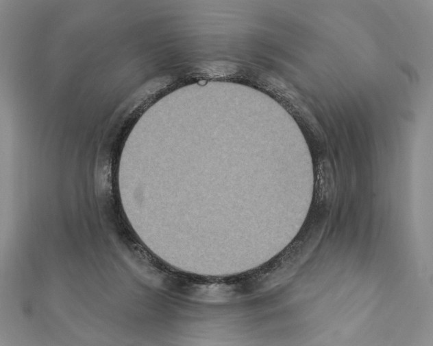 X0000111440212200908241151