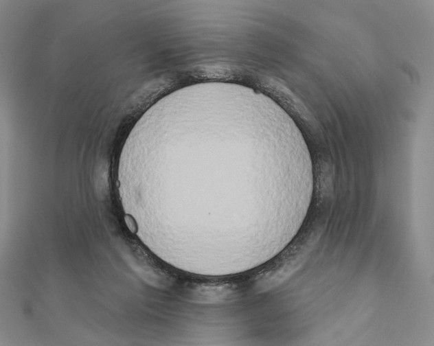X0000111440213200908241151