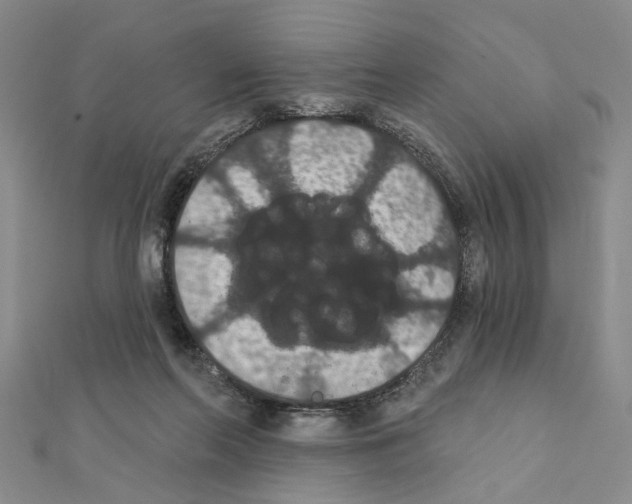 X0000111440214200908241151