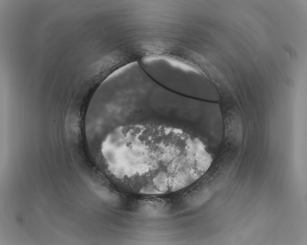 X0000111440215200908241151