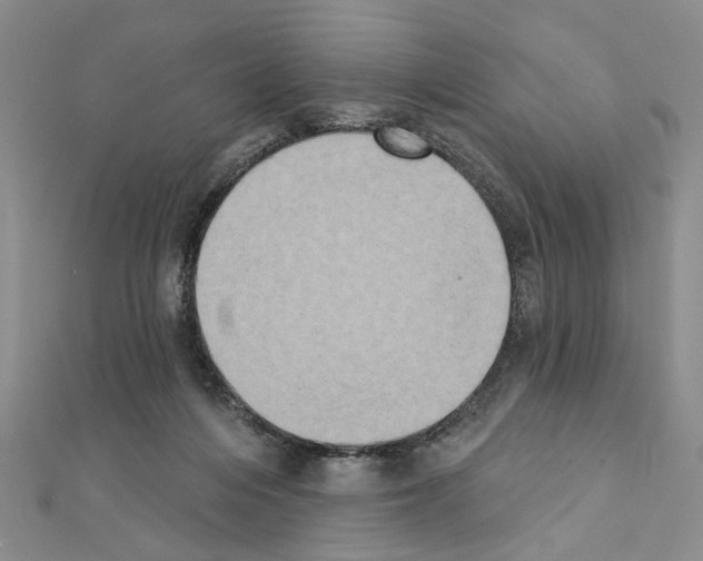 X0000111440216200908241151