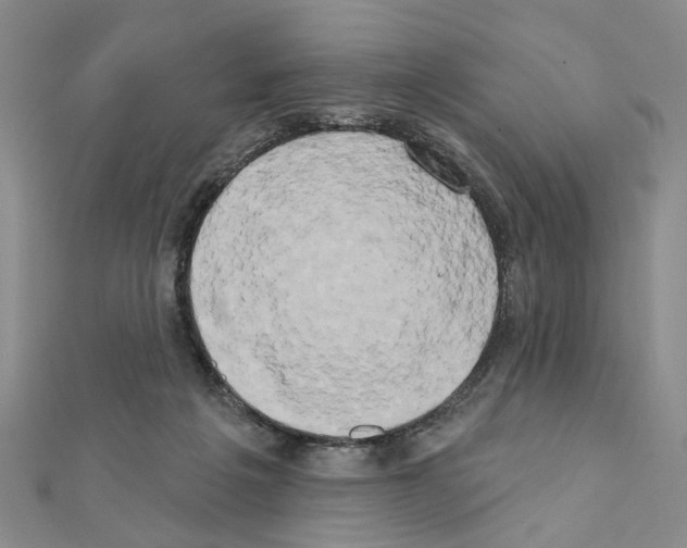 X0000111440217200908241151