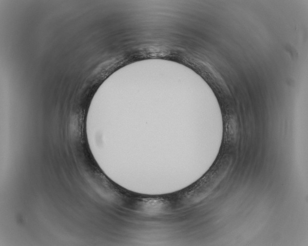 X0000111440218200908241151