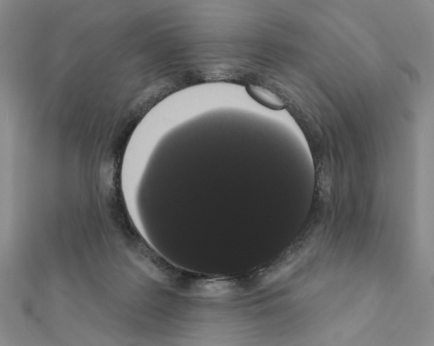 X0000111440219200908241151