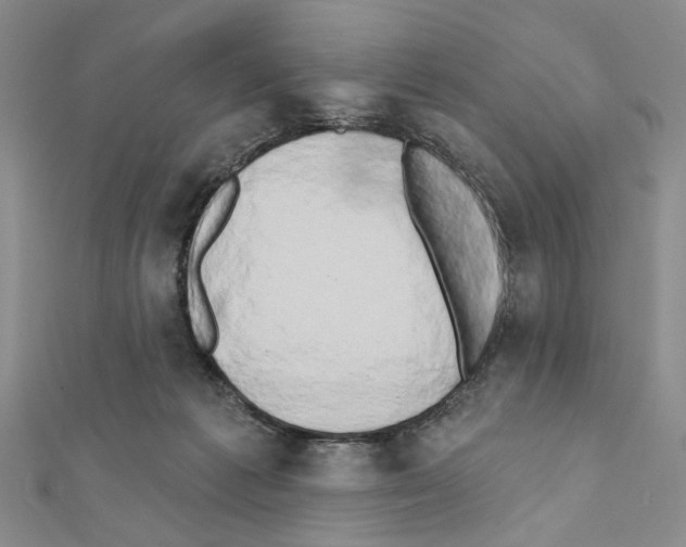X0000111440221200908241151