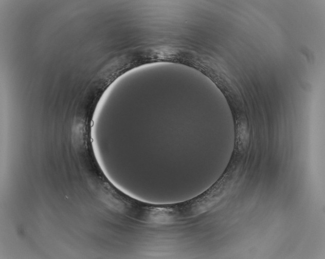 X0000111440222200908241151