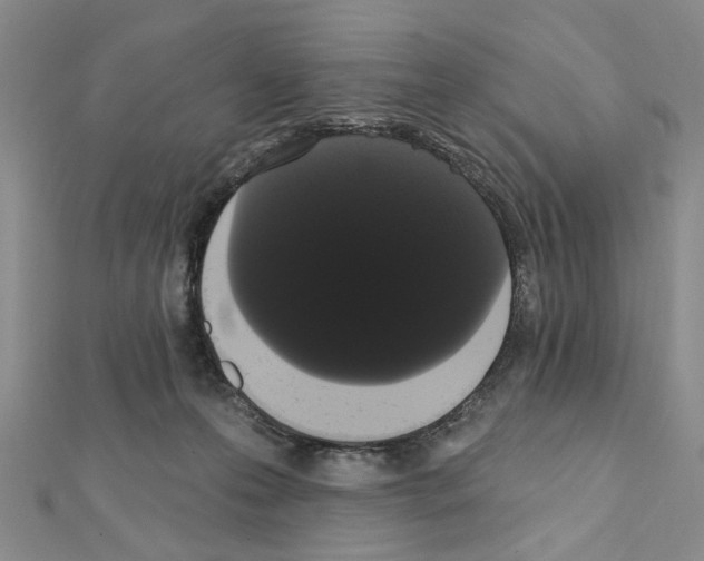 X0000111440223200908241151