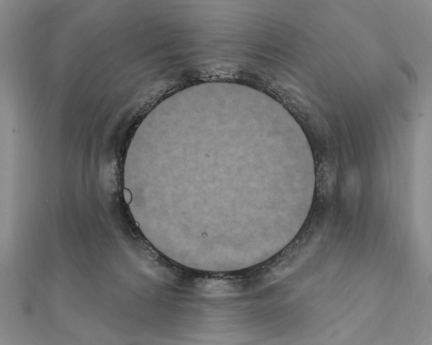 X0000111440224200908241151