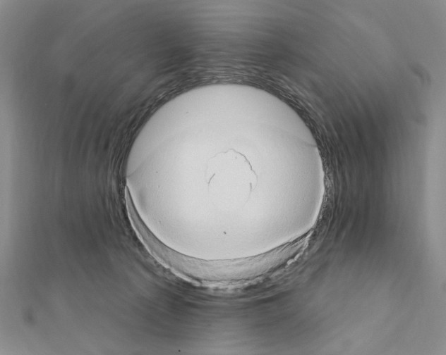 X0000111440225200908241151