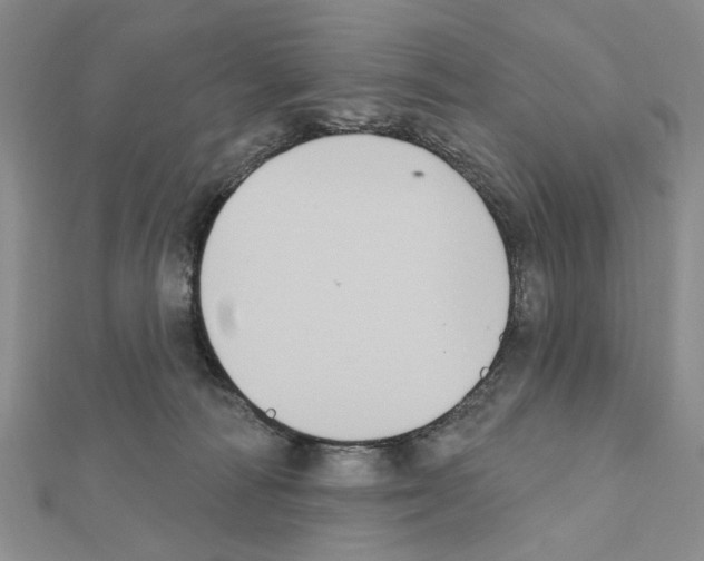 X0000111440226200908241151